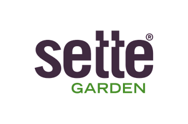 Sette